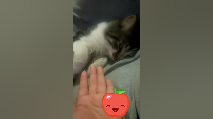 Bunny dando la mano ♡