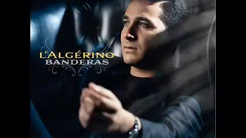 lalgerino seni seni       banderas