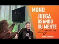 Neuralink (Empresa de Elon Musk) muestra a un mono jugando a un videojuego con la mente | Explicado