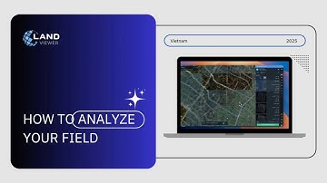 Analyze your field with EOSDA LandViewer 2025