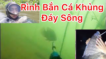 Cá Tai Tượng Dưới Sông To Khó Tin – Bắn Xong Mà Run Tay!