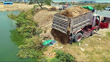Wonderful Started New Project!Dump Truck Fillland Deep Lake,Driver Skill Bulldozer D31A Pushing Soil
