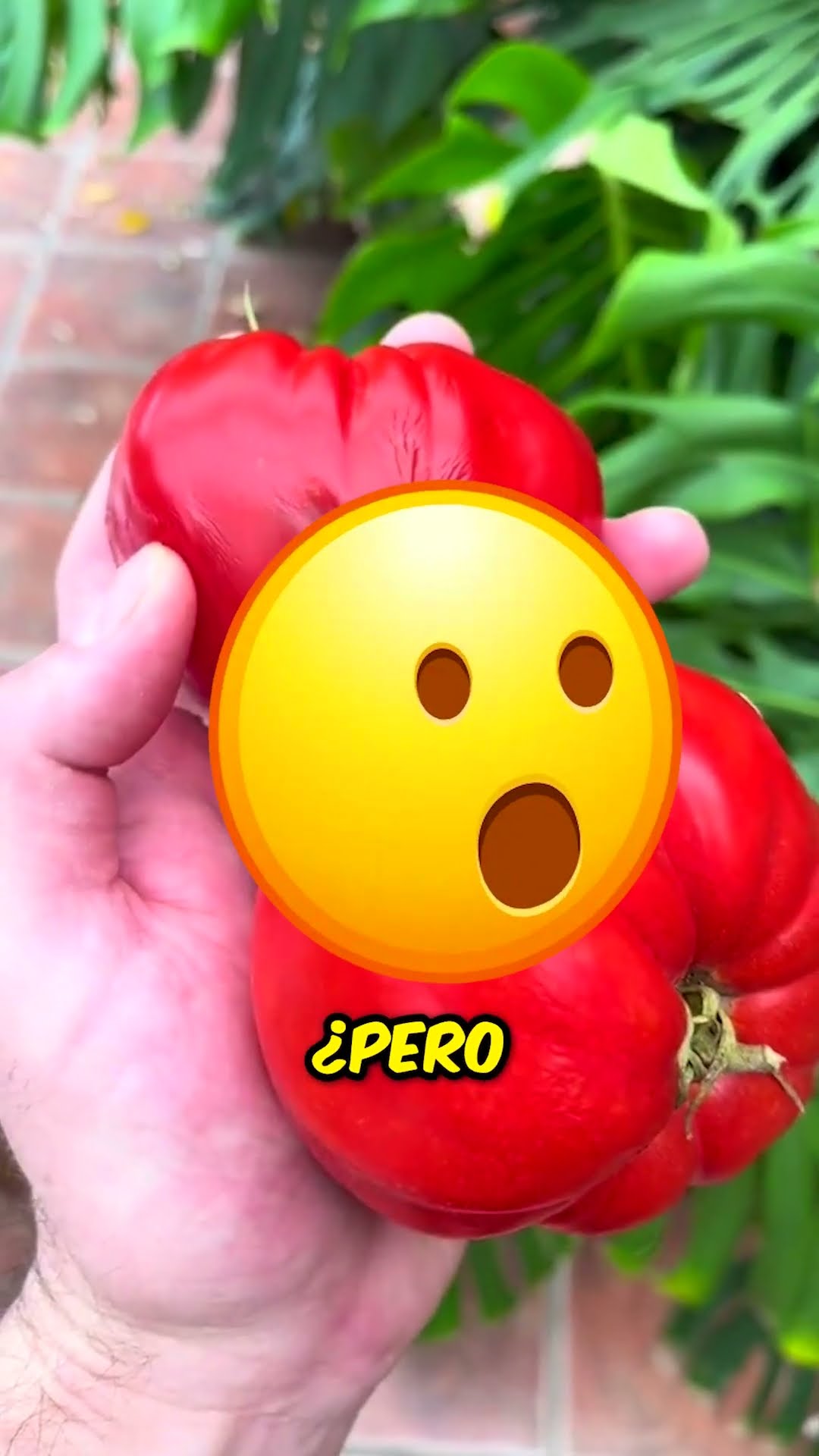 ¡Algo se está moviendo dentro! ?