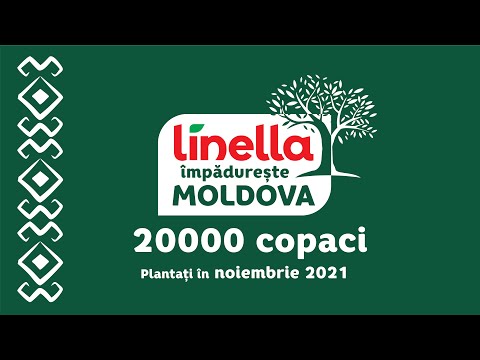 Linella Împădurește Moldova | 20 ani alături de tine