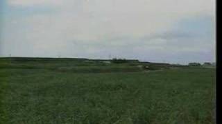 徳之島民謡「島かんちみ節」