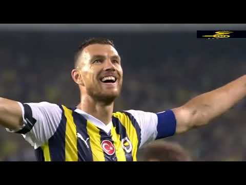 Fenerbahçe Ülker 4-2 Hatayspor maç özeti golleri