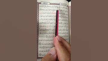 تعليم سورة هود من 89 إلى 91