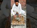 This Diy Cement Idea is Going | #CementTile #shorts #tiles