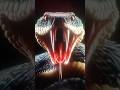Why Allah Created Snake# Allah ne sanp ko kyu pada kia # islamic short#