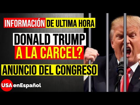 Vídeo: El Video Viral Definitivo Que Muestra Cómo Se Comportan Los Partidarios De Trump En Las Manifestaciones - Matador Network