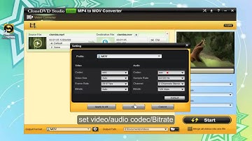 How to convert mp4 to mov free with clonedvd free mp4 to mov converter