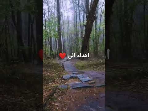 2022 تامر حسني ليه طله 3 70 3