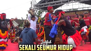 SEKALI SEUMUR HIDUP Voc. Latifah Dangdut Jaranan MAYANGKORO ORIGINAL Live Janti Wates Kediri 2023