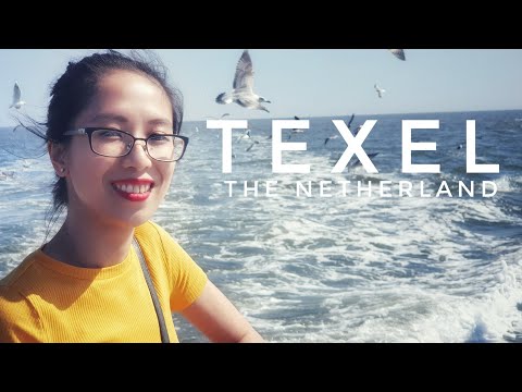 Video: Đảo Texel - Thông tin về kỳ nghỉ của Hà Lan