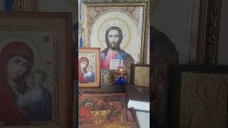 Толкование Псалма 11, когда читается, правила чтения #псалмыдавида