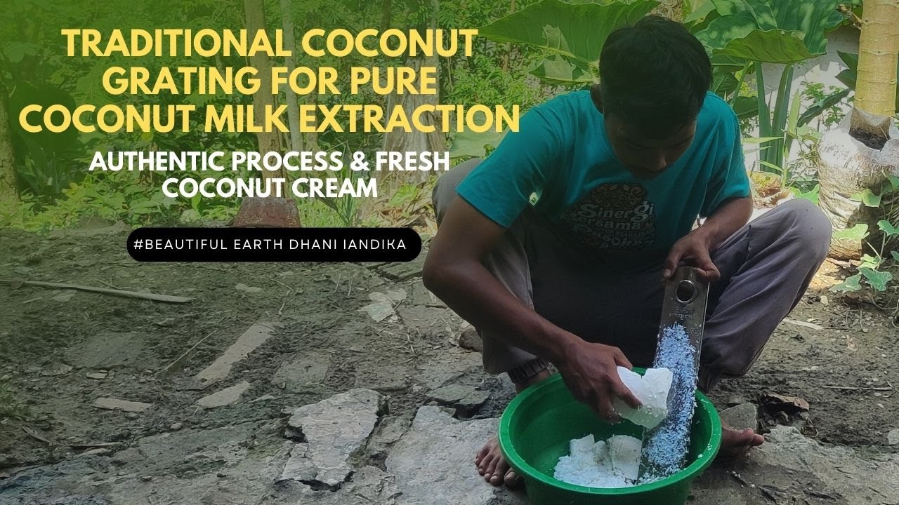 Traditional Coconut Grating for Pure Coconut Milk Extraction-Authentic ...