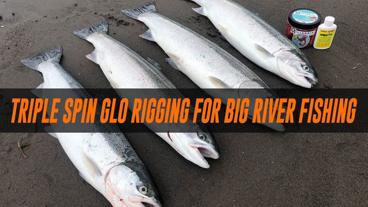 How To Bank Fishing For Steelhead Triple Spin Glo Rigging For Big River Fishing YouTube