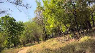 Water stream Satpura national park