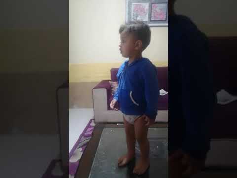 الطابور عمر العبداللات