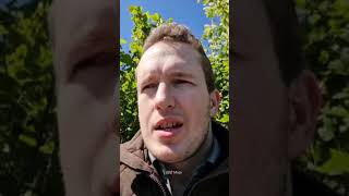 Можно ли выиграть на торгах по банкротству без торгов?!