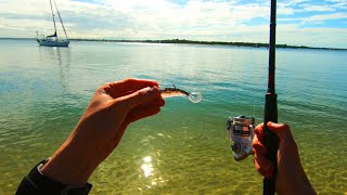 Fishing Soft Plastics On Clear Water Beach