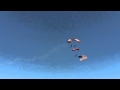 Mash up of pix and vid&#39;s from the 2011 ESL International Air Show