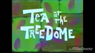 Tea at the treedome screenbug house 2002