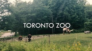 Toronto Zoo - 4K Official Video