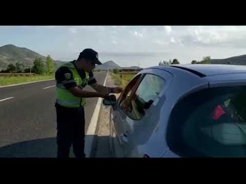 Video: Mungesa E Kontrollit Të Fshikëzës Në Qen