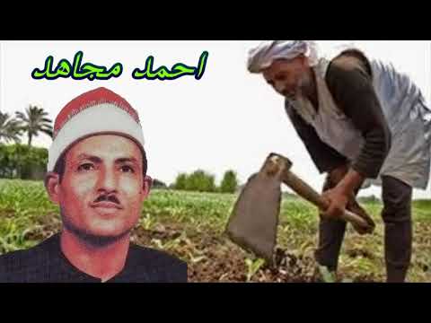 الشيخ أحمد مجاهد نسمه وصلاح كامله