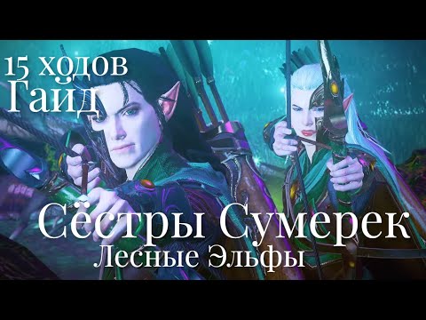 Видео: Total War: Warhammer 3. Гайд. Лесные Эльфы. Сёстры Сумерек, бессмертные империи