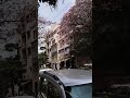 ഇത്രേം ഭംഗിയുള്ള കാഴ്ചകൾ കാണുമ്പോൾ എങ്ങിനെ വീഡിയോ എടുക്കാതിരിക്കും.... 😍😍😍 #love #viral #nature