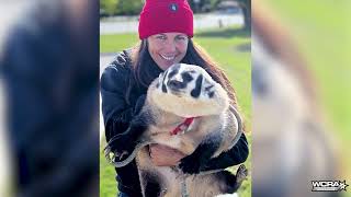 Meet Ryann Pedone and Conor, Her Pet Badger