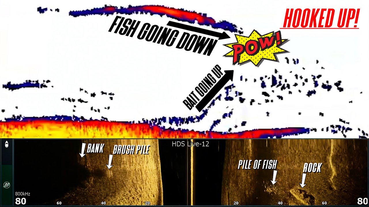 Sonar settings for your FISH FINDER!! // Depth Finder set up for catching MORE BASS! // Project