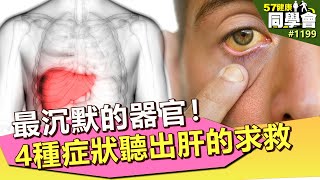 最沉默的器官！4種症狀聽出肝的求救【57健康同學會】第1199集 2014年｜隋安德 許晶晶 潘懷宗 蕭敦仁 鄒瑋倫 謝宜芳 洪素卿