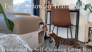 Mastering the Transition: Ordinary to SelfCleaning Litter Box in 24Hrs | PetSnowy SNOW+ Litter Box