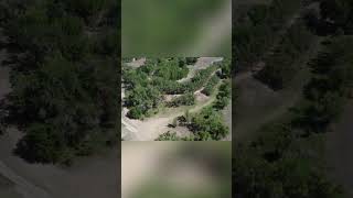 Drone Soars Over Secret Forest Paths &amp; Hidden Nature #shorts
