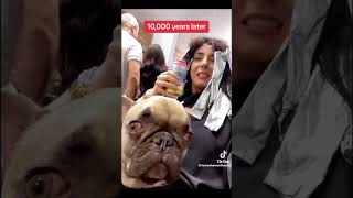 TikTok’s that will make you forget about the frijoles #memes