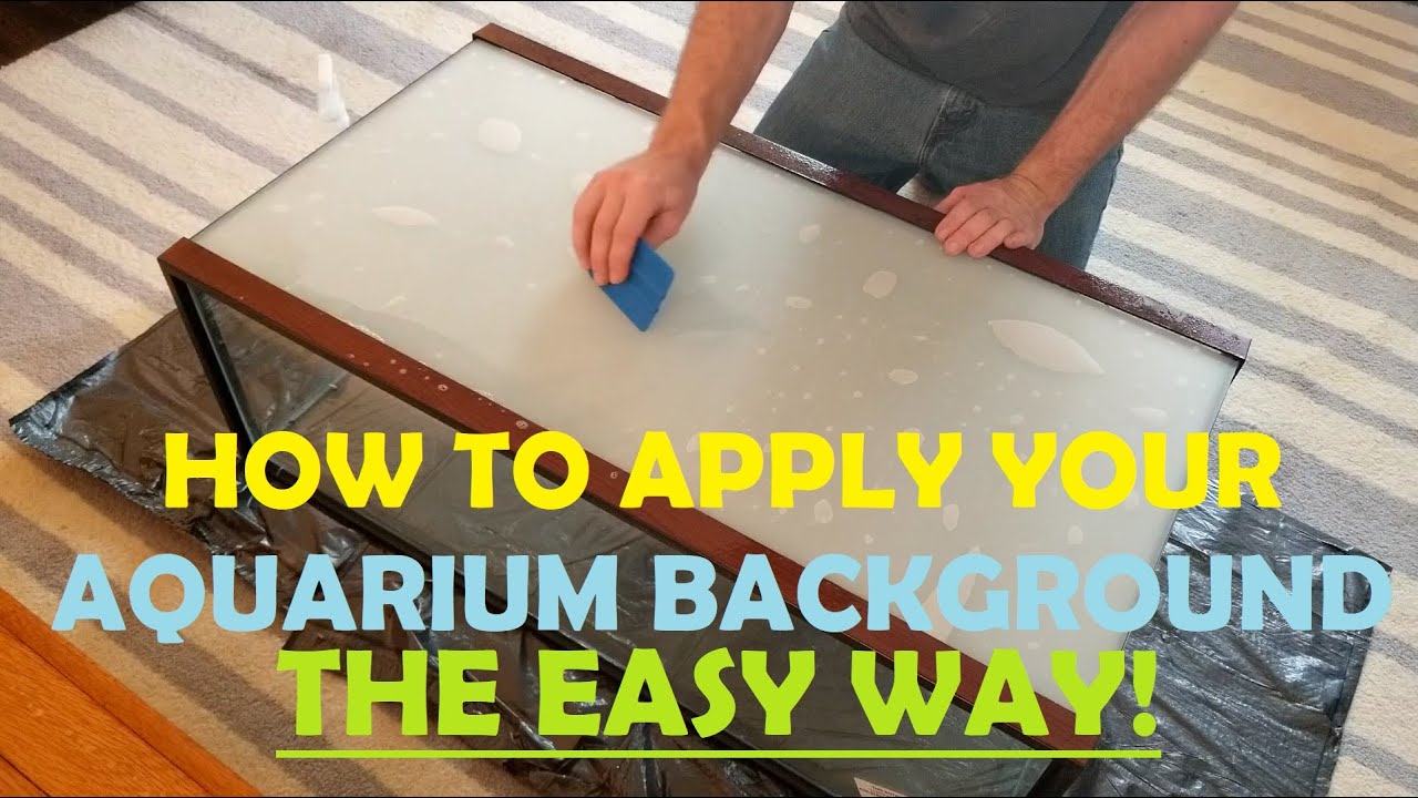 AQUARIUM BACKGROUNDS Easily apply YOUR laminate background! YouTube