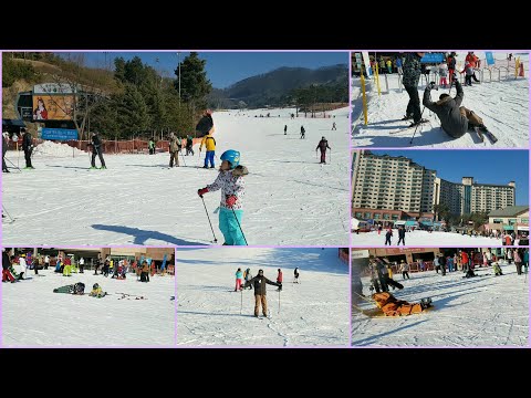 Skiing and Snowboarding at Oak Valley Ski Resort Korea | Winter Sports | Winter in Seoul