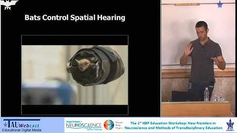 From Bat Behavior to Robot Cognition