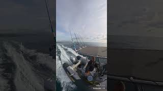 Andare A Pescare Con Un Gommone Arkos È Tutta Unaltra Storia