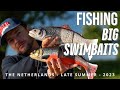 Big swimbait fishing  custom savage trouts  late summer pike fishing