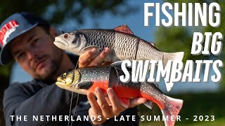 Big Swimbait Fishing  Custom Savage Trouts  Late Summer Pike Fishing