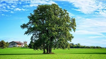 Pureti - Use the power of light to clean