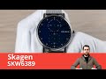 Необычные Скандинавские Часы / Skagen SKW6389