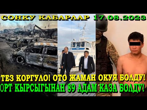 Video: Тез жолдо жашоо үчүнбү?