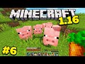 Майнкрафт 1.16 Выживание без модов! Я приручил свиней в minecraft! #6