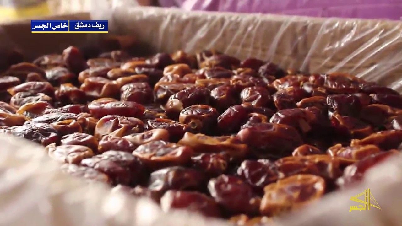 زراعة النخيل في غوطة دمشق الشرقية