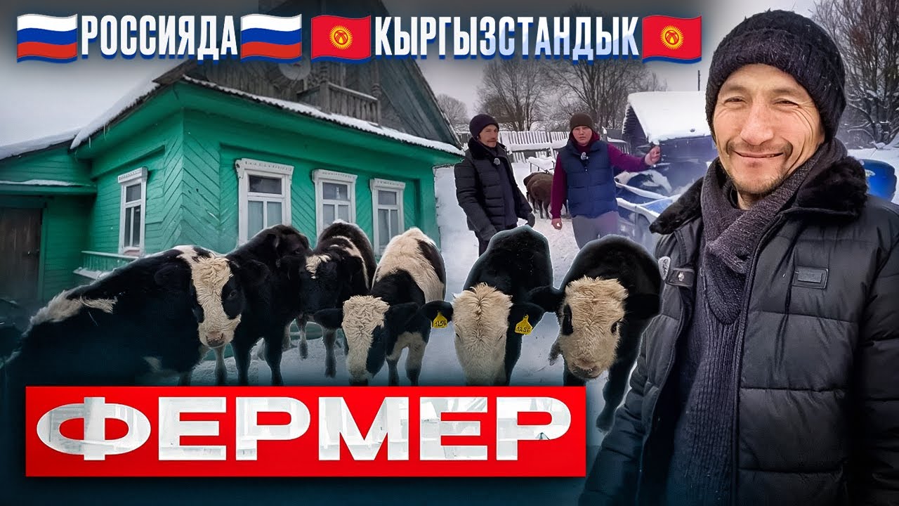 🇷🇺Россияда🇷🇺🇰🇬 Кыргызстандык🇷🇺              🐐Фермер 🐏￼🐄Тверская область !
